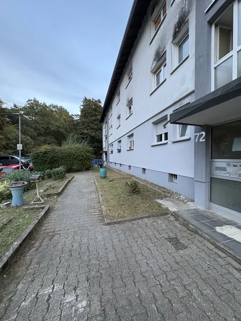 Die Grünfläche nach der Pflege