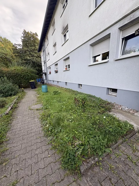 Die Grünfläche vor der Pflege